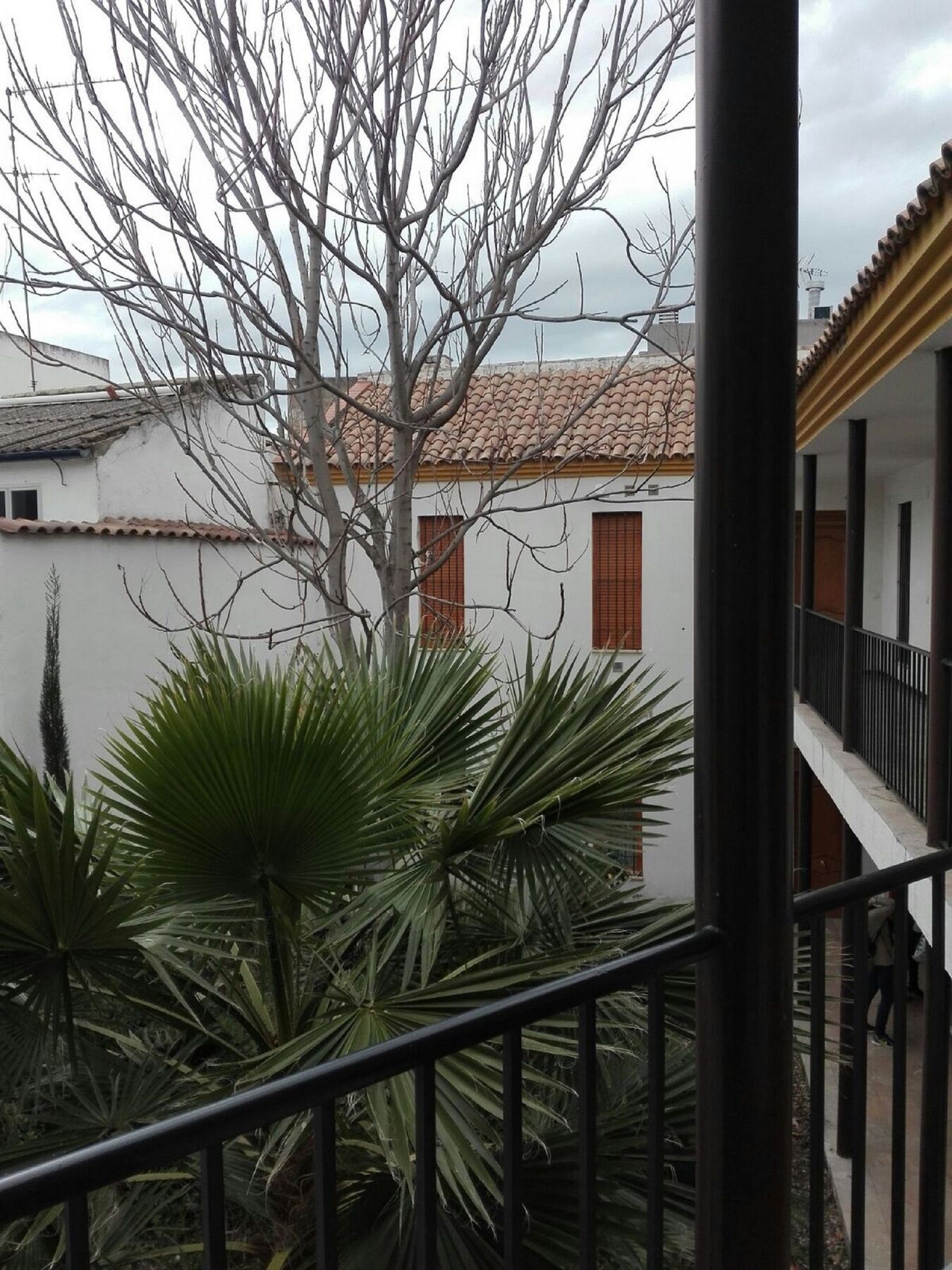 Apartamento Alfonso XII Córdova Exterior foto